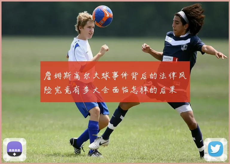 詹姆斯高尔夫球事件背后的法律风险究竟有多大会面临怎样的后果