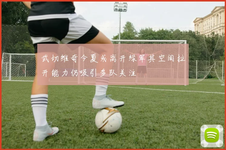 武切维奇今夏或离开绿军其空间拉开能力仍吸引多队关注